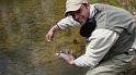 Now that's a trout
